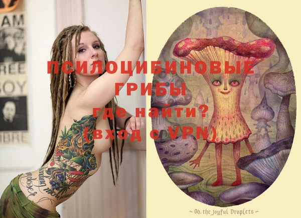 трава Тавда