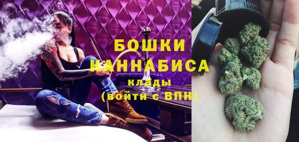 ПСИЛОЦИБИНОВЫЕ ГРИБЫ Тайга