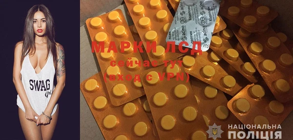 ПСИЛОЦИБИНОВЫЕ ГРИБЫ Тайга