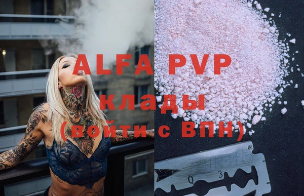 дживик Тобольск