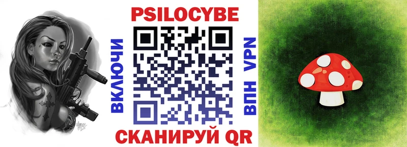 Галлюциногенные грибы прущие грибы  Купить где  Брянск 
